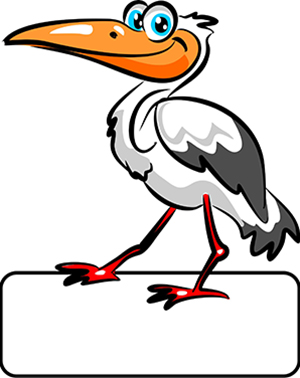 1003_Storch